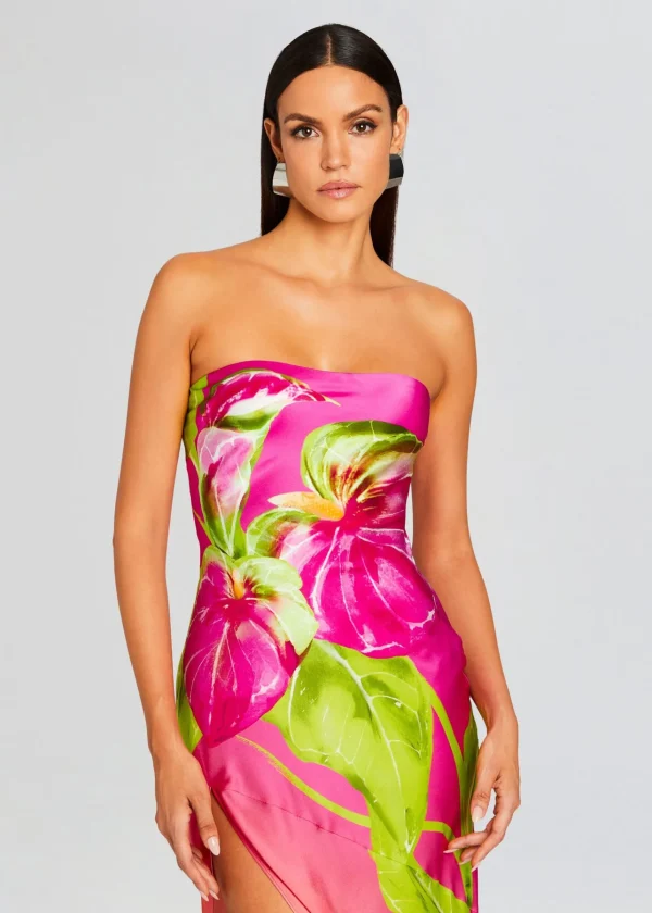 Resort '24*Retrofete Aiyanna Silk Dress Ombre Anthurium