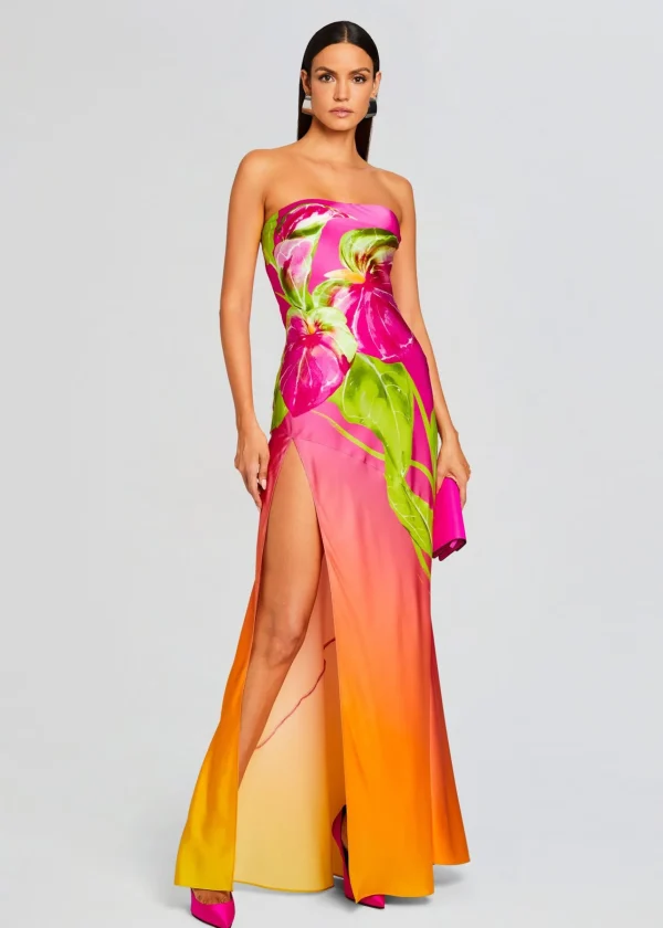 Maxi*Retrofete Aiyanna Silk Dress Ombre Anthurium