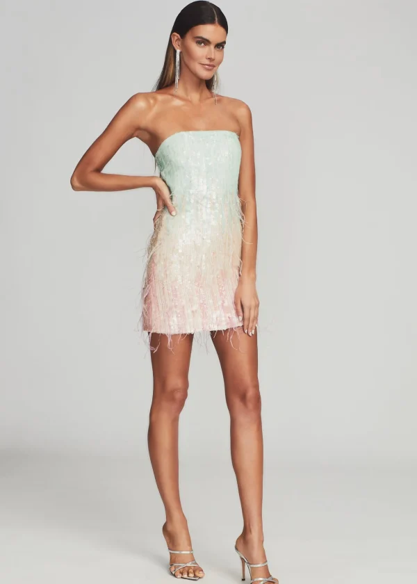 RETROFÊTE*Retrofete Anastasia Sequin Dress Feather