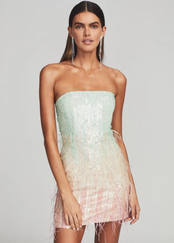 RETROFÊTE*Retrofete Anastasia Sequin Dress Feather