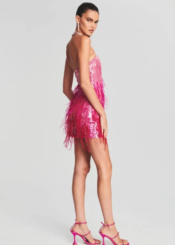 Bachelorette Party*Retrofete Anastasia Sequin Feather Dress Fuchsia