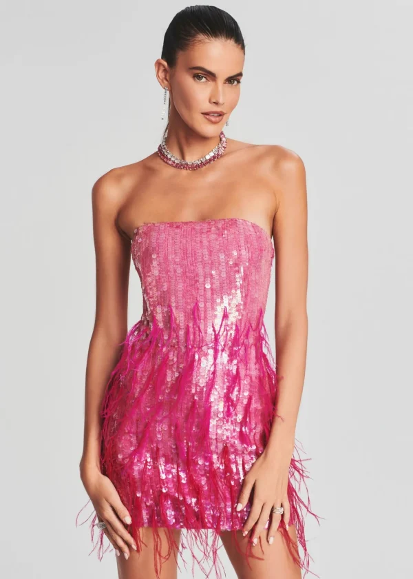 Bachelorette Party*Retrofete Anastasia Sequin Feather Dress Fuchsia