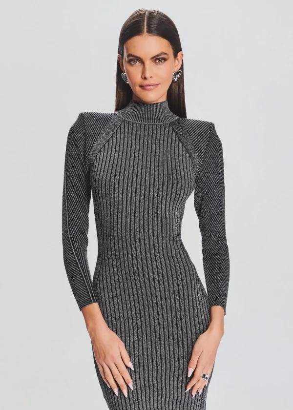 Business Chic*Retrofete Aylin Rib Knit Dress Metallic Black/Silver