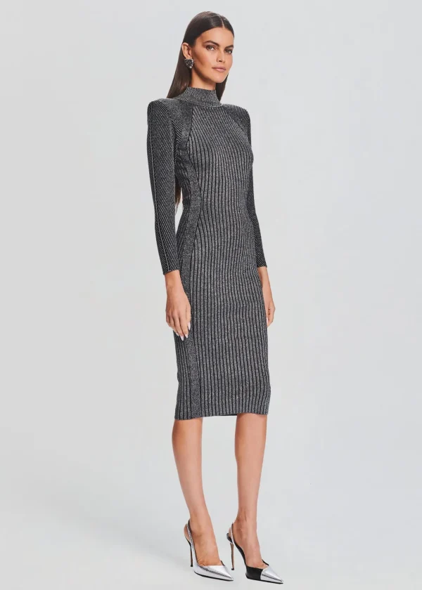 Business Chic*Retrofete Aylin Rib Knit Dress Metallic Black/Silver