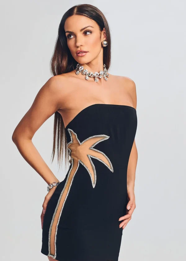 RETROFÊTE*Retrofete Carmie Dress Black/Silver