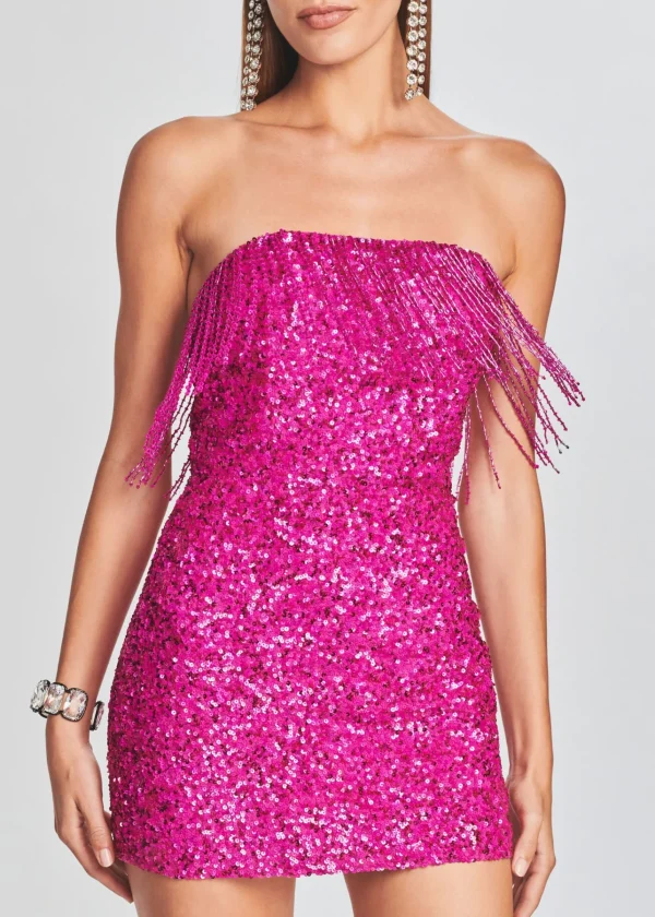 Dresses*Retrofete Cassandra Sequin Fringe Dress Hot Pink