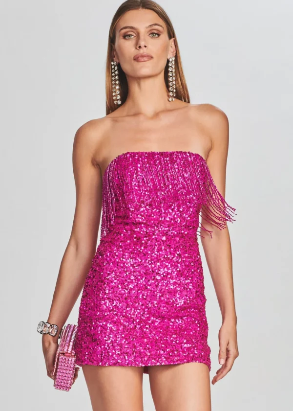 RETROFÊTE*Retrofete Cassandra Sequin Fringe Dress Hot Pink