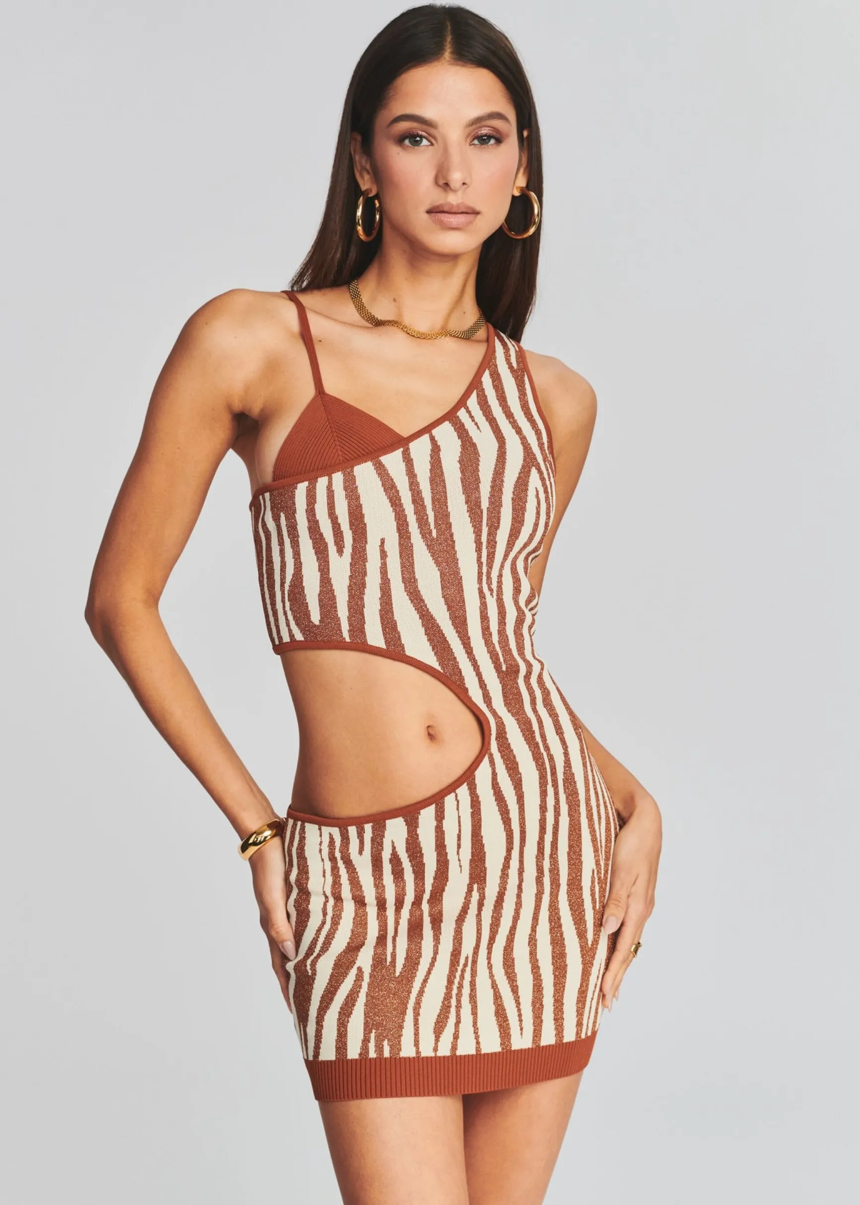 dimi_dress_1.webp Final Sale*Retrofete Dimi Dress Brown Zebra